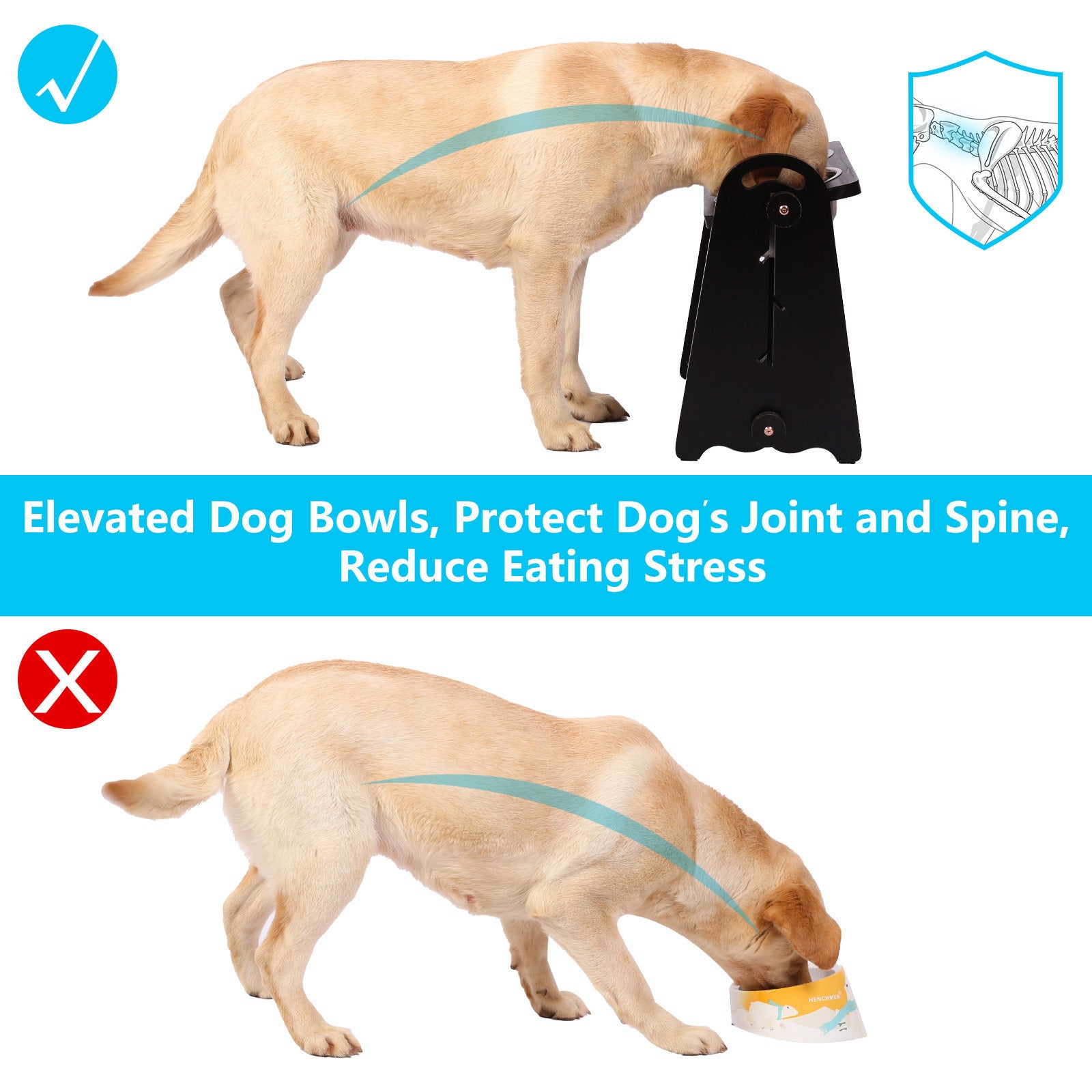 Elevated Dog Bowls for Medium Large Sized Dogs, Adjustable Heights Raised Dog Feeder Bowl with Stand for Food & Water Doba